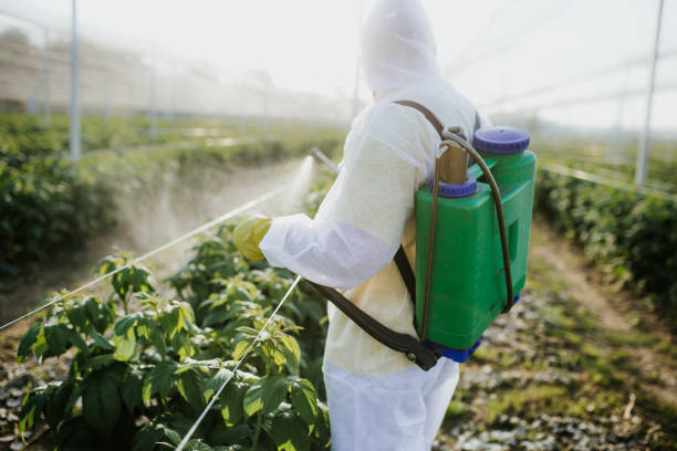 Best Residential Pest Control  in White Hall, IL